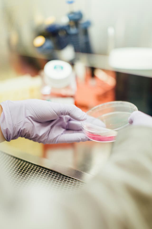 Transform Your Culturing Projects with Cyberoni's Revolutionary Tech